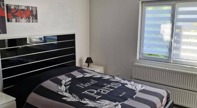 Pleasant rental apartment | Pets allowed in Metz