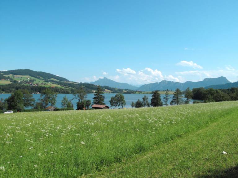 foto22