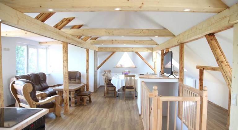 Apartmenthaus Landeskrone Dresden fur Gruppen bis 20 Personen, 2 Wohnungen, Sauna, Dachterrasse & Ga — photo 3