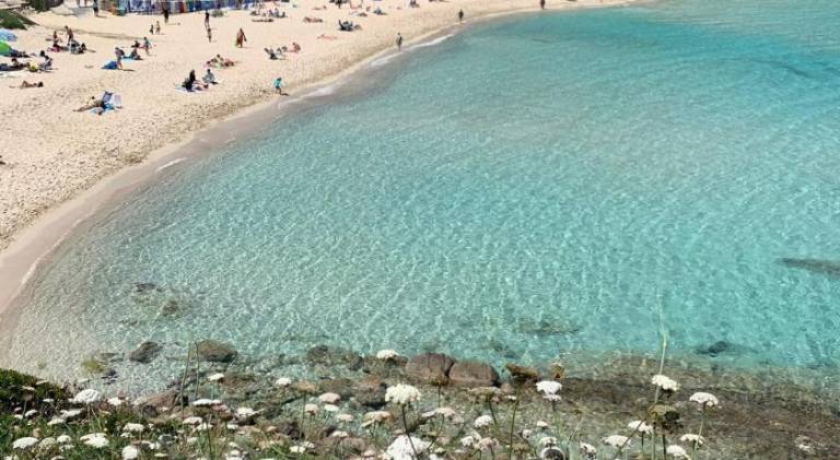 Rental apartment | Close to the beach | Pets allowed in Santa Teresa di Gallura
