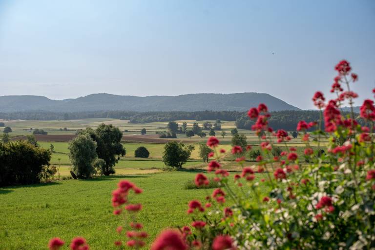 foto17