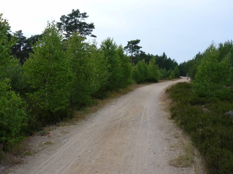 foto39