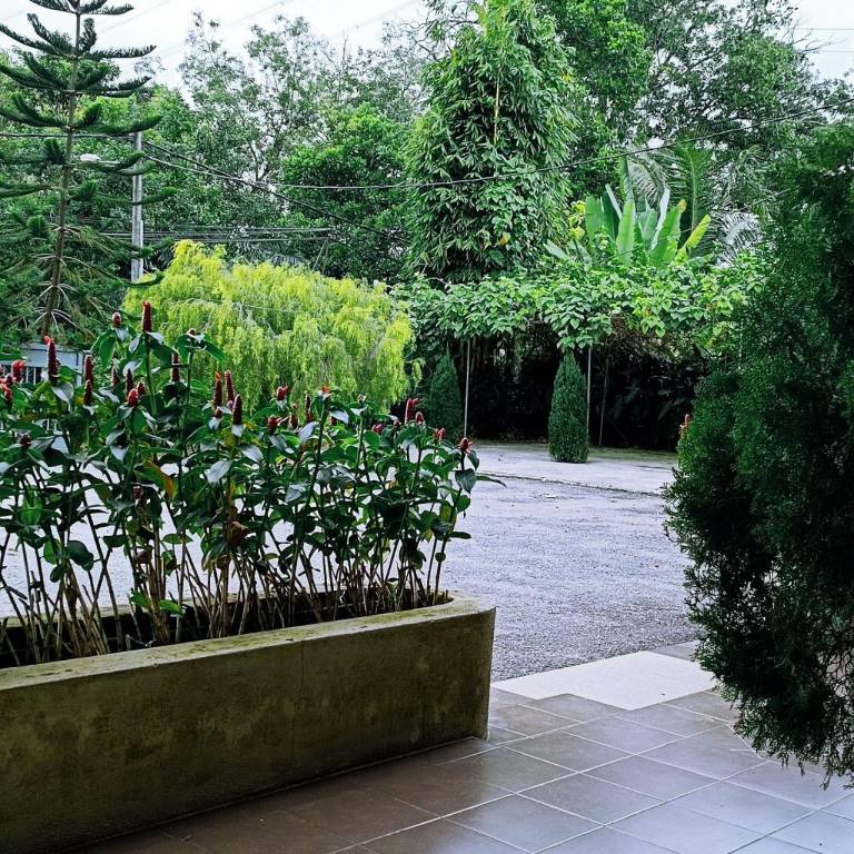 foto19