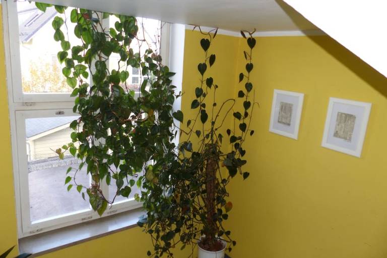 foto29