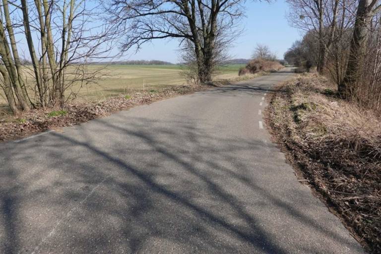 foto20