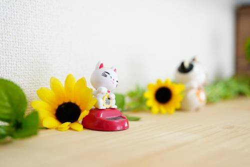 foto15