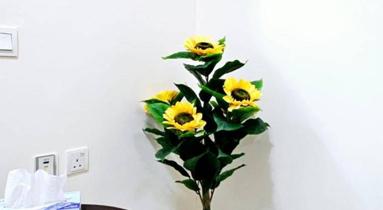 foto10