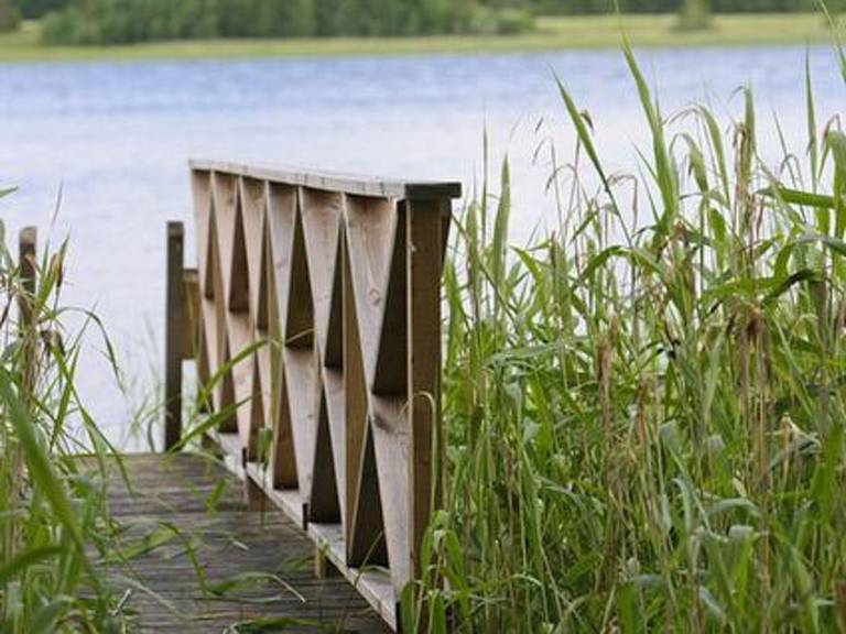 House with sauna | Nature view | Pet-friendly — photo 3