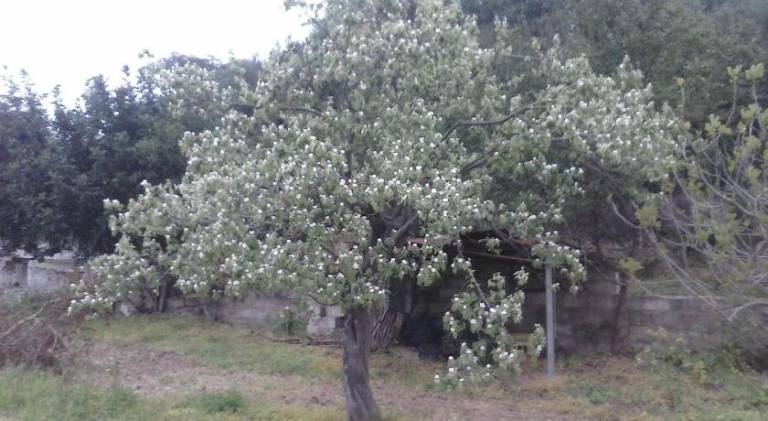 Appartamento Siniscola