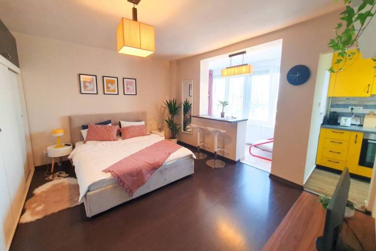 Apartment Timisoara