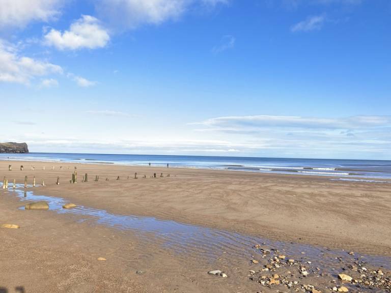 Cottage Whitby
