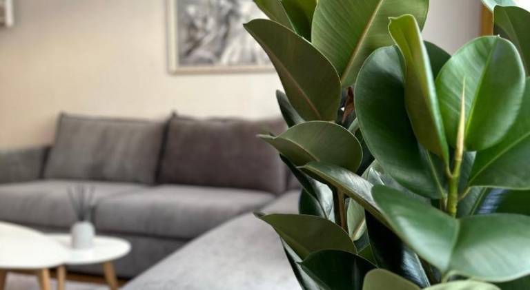 Apartment with 2 rooms for 4 persons in Tartu