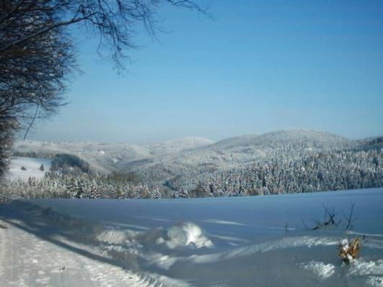 foto20