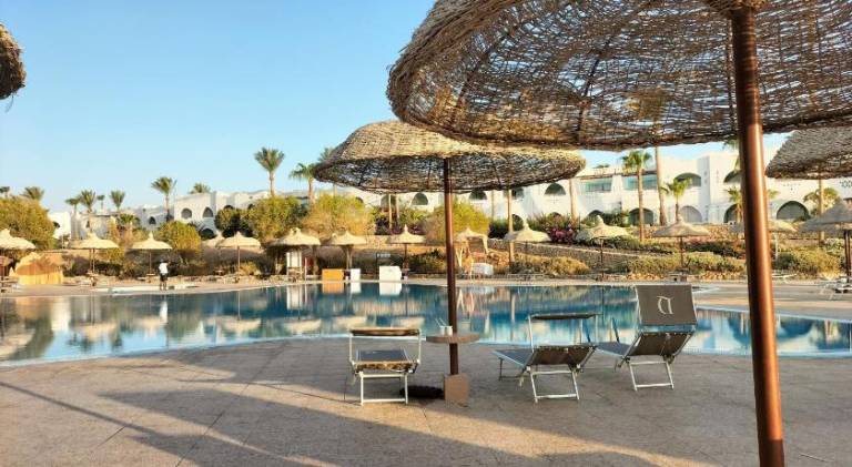 Nice holiday apartment with pool & jacuzzi | Close to the beach | Pets are welcome — photo 3