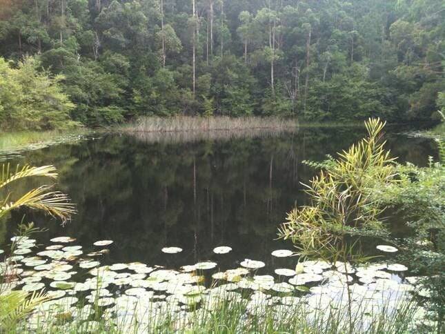 House Stewarts River