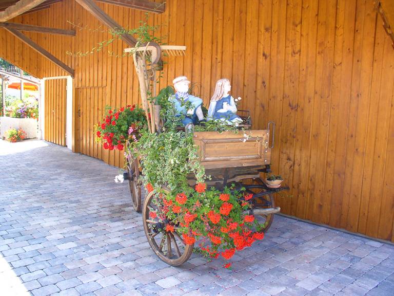 foto23