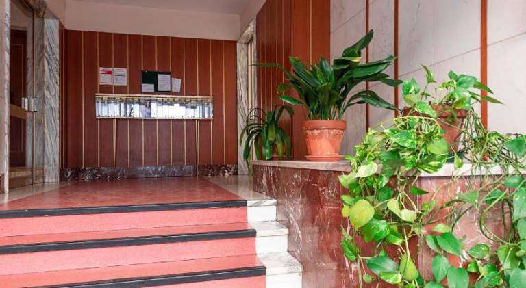DORA Rooms and terrace, Parco Dora — photo 4