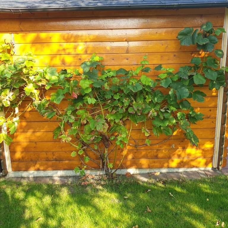 foto36