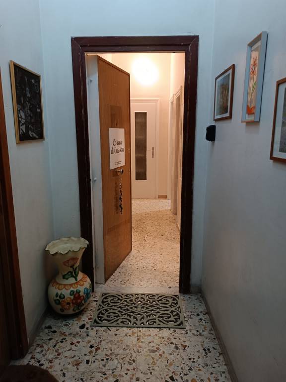 foto44