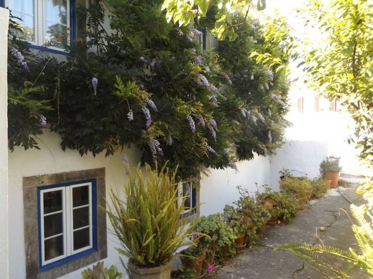 House with private pool, terrace & barbeque — photo 2