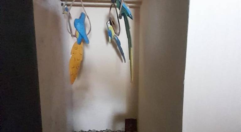 Charming vacation home with pool | Close to the beach | Pets are welcome — photo 5