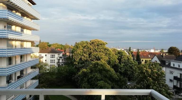 foto6