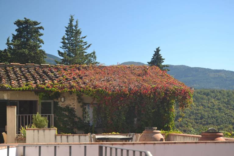 Fully equipped lovely vacation home with pool, terrace & yard | Pet-friendly — photo 4