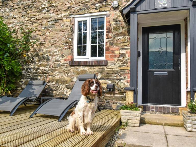 Cottage with yard, barbecue & hot tub | Dogs allowed — photo 3