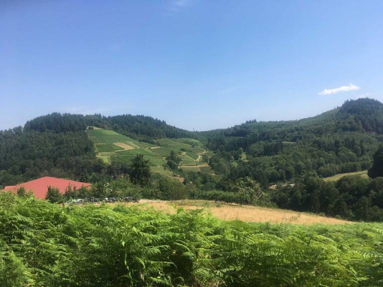 foto13