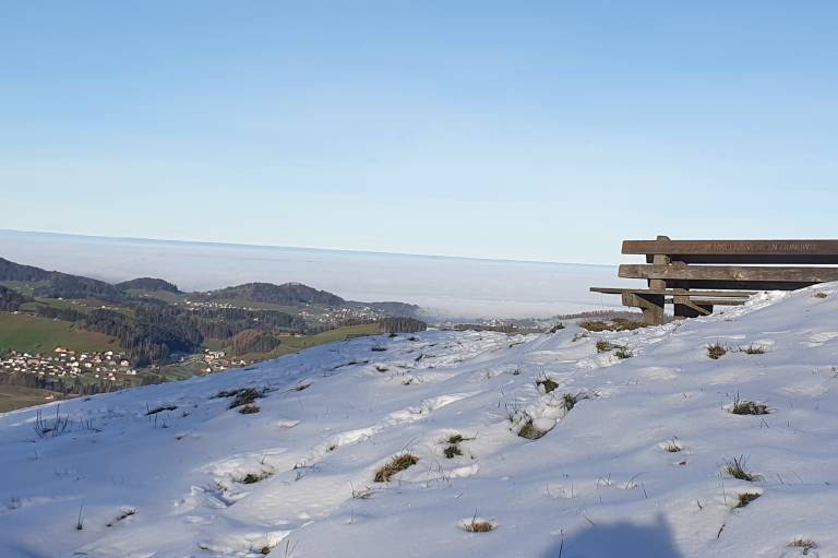 foto41