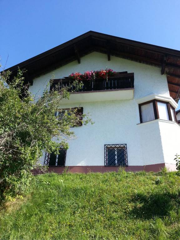 foto1