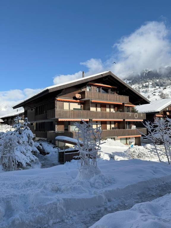 Ferienwohnung Lenk