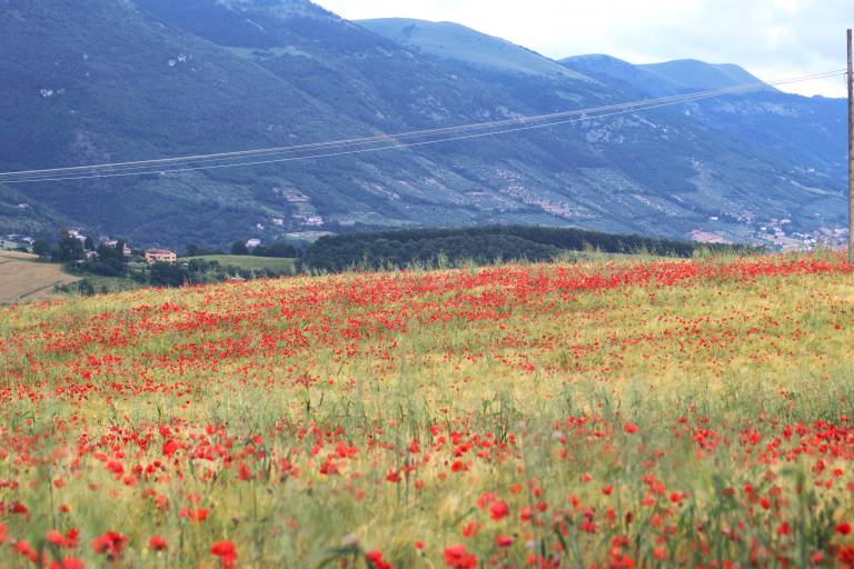 Agriturismo Il Cerrone: Appartamento Il Prato - Agriturismo Il Cerrone — photo 5