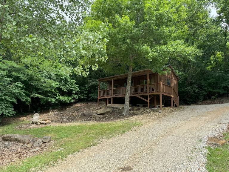 Cabin  Mountain View