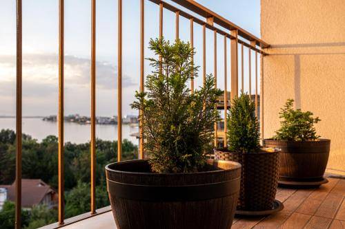 Apartament Konstanca