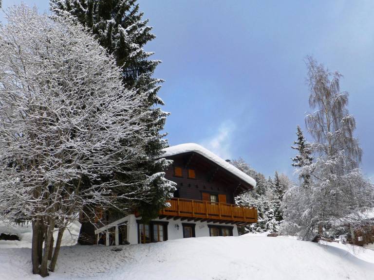 Chalet  Vex