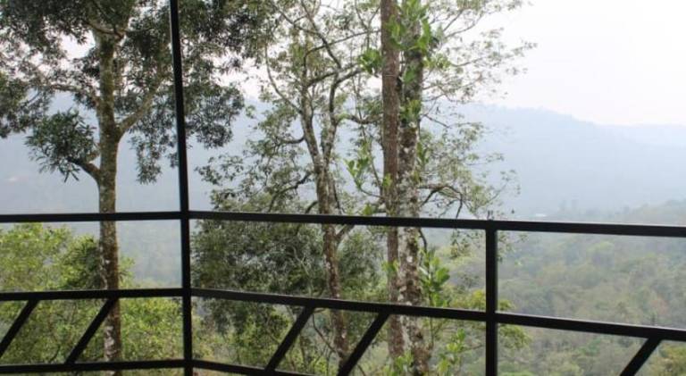 Valley Homestay munnar — photo 3
