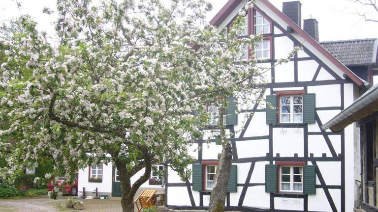 Ferienhaus Hönningen
