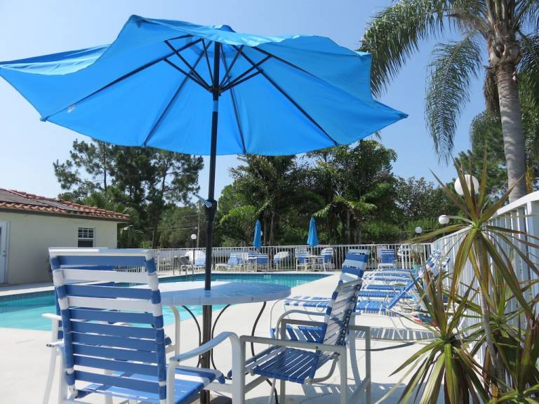 Condo  Palm Harbor