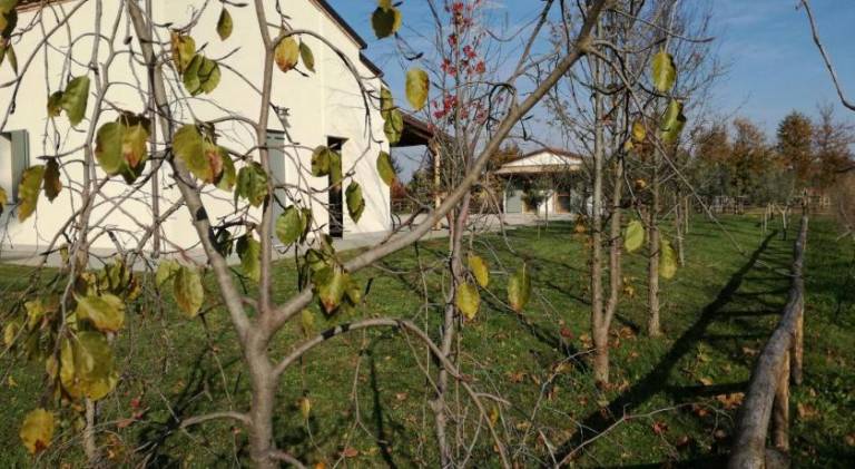 foto48