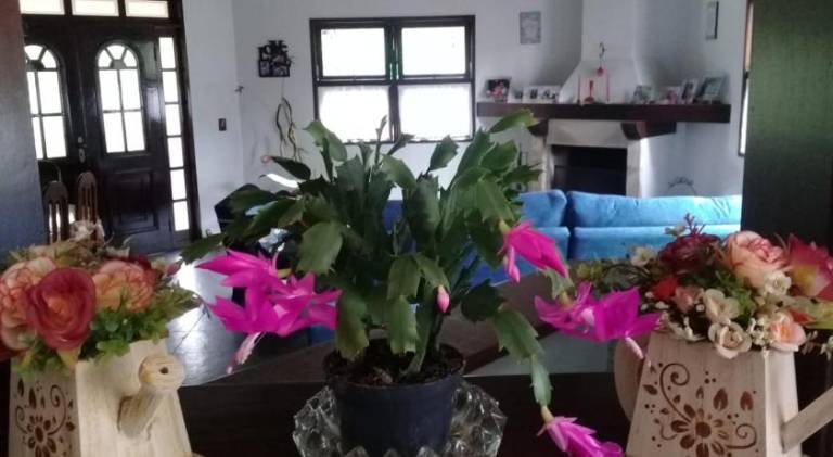 foto31