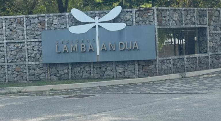 foto41