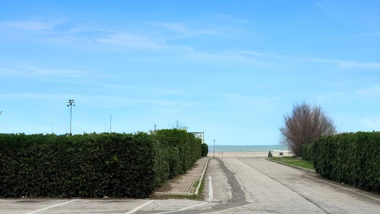 Charming apartment | Next to the beach | Pet-friendly in Senigallia