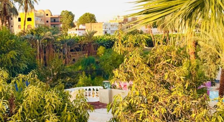 Holiday apartment | Close to Luxor Temple — photo 4