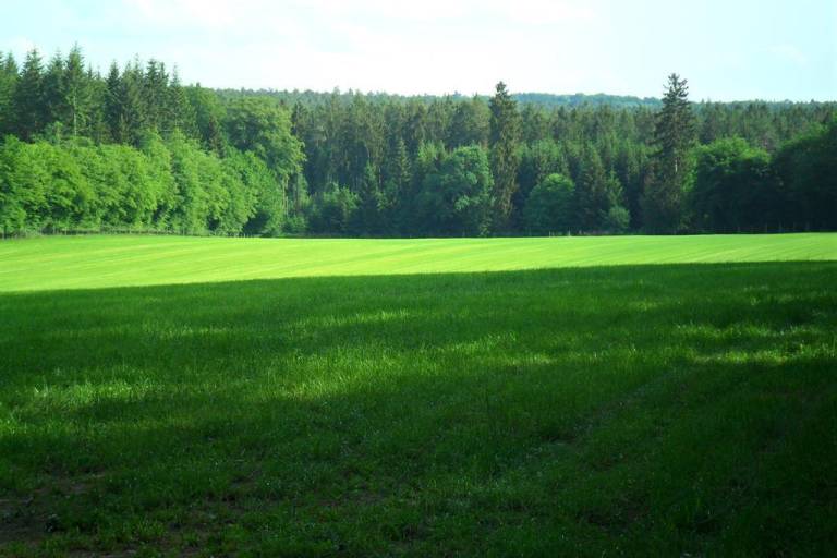 foto9