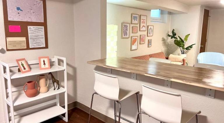 Sloans Lake Basement Suite — photo 4
