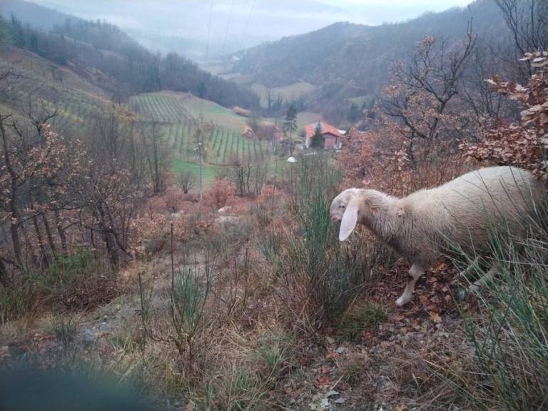 foto29