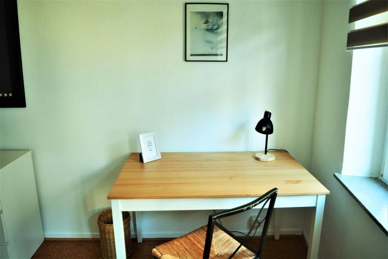 foto19