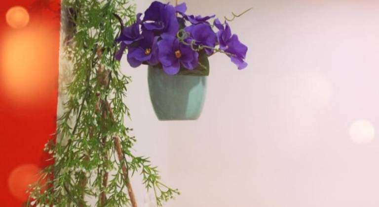 foto18