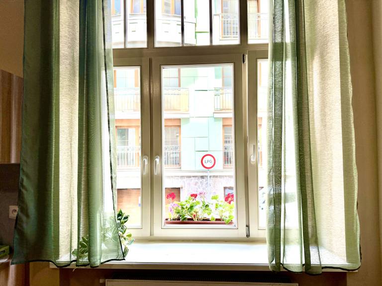 foto22